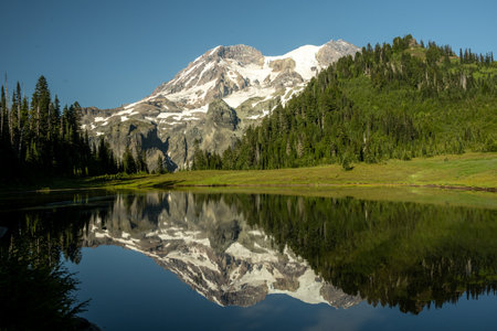 Reflection of Mount Rainier in Pond at Klapatche Park in Early Summerの写真素材