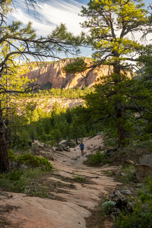 Hiker Climbs Hill Along Connector Trail In Zionの写真素材