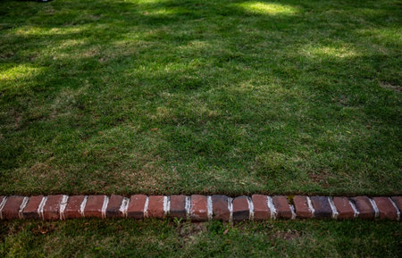 Bright Green Grass Opens To Yard Over Row Of Bricks with copy spaceの写真素材