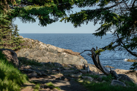 Lobster Traps Bob Along The Rocky Coast Of Acadia National Park