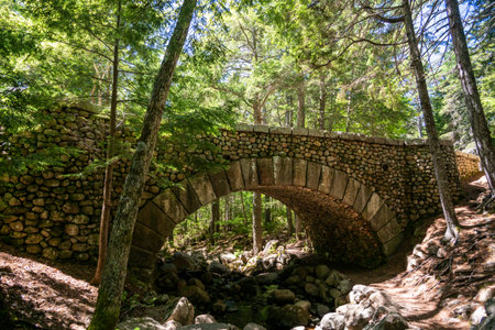 Rocky Trail Passes Under The Cobblestone Bridge In Acadia National Parkの写真素材