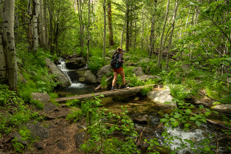 Hiker Crosses Small Wooden Bridge In The Backcountry of Rocky Mountain National Parkの写真素材