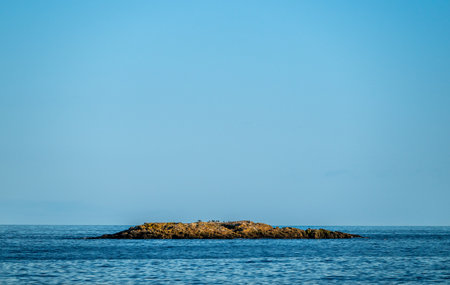 Tiny Rock Island Sits in the Atlantic Ocean Off the Coast of Acadia National Park
