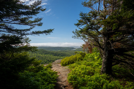 Granite Walkway Leads Away from Cedar Swamp Mountain Summit in Acadiaの写真素材