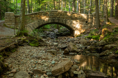 Pools Of Water Reflect The Forest Below Hadlock Brook Bridge in Acadia National Parkの写真素材