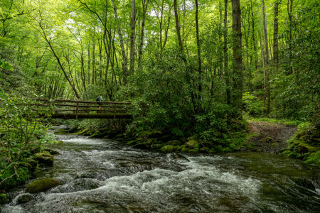 Woman Crosses Bridge While The Water of Noland Creek Rushes Below in Great Smoky Mountains National...