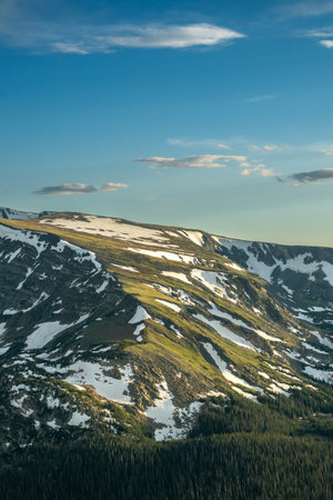 Green Grasses Emerge From Below Patches Of Snow Of Rocky Mountain National Park