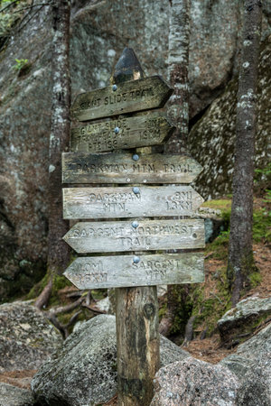 Trail Arrows Cover Wooden Post At Intersection In Acadia National Parkの写真素材
