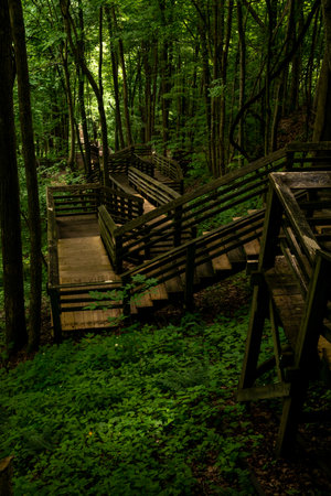 Hundreds of Stairs Head Down The Kaymoor Miners Trail In New River Gorge National Parkの写真素材