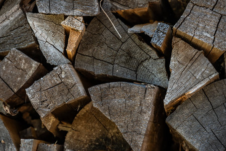 End Texture Of Cut Logs for Firewood in pileの写真素材