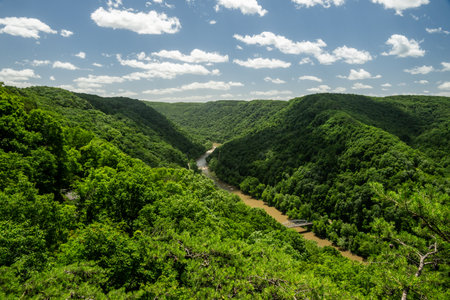 Shadows Cover The Narrow Valley In New River Gorge National Park