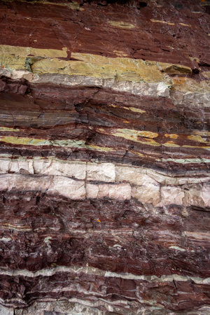Textures In The Red Rock Of Ptarmigan Pass in Glacier National Park
