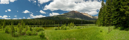 Panorama Of Cache Lake And Electric Peak In Summer in Yellowstone National Park