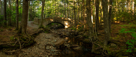 Panorama Of Hadlock Brook Bridge In Acadia National Park