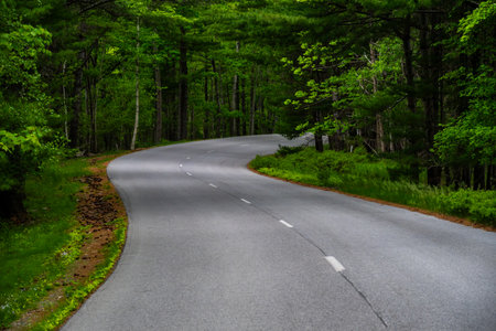 Curve Of Park Loop Road In Acadia National Park