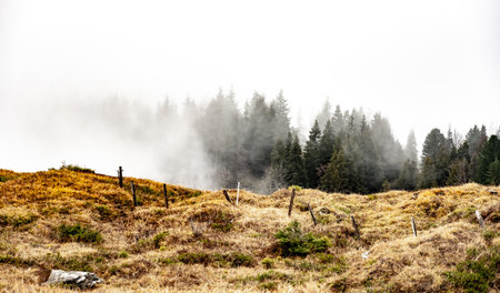 Thick Fog Engulfs The Forest Over The Dilapidated Fence in the Swiss countrysideの写真素材