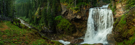 Panorama Of Dawn Mist Falls Along The Belly River in Glacier National Parkの写真素材