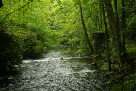 Gauge House Perched On The Edge Of Hazel Creek In Great Smoky Mountains National Park