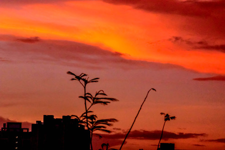 horizonの写真素材