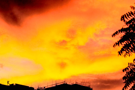 yellow sky 2の写真素材