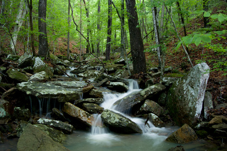 Arkansas Stream Rushing Through Woodsの写真素材