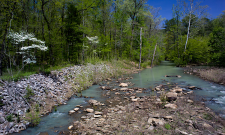 Stream Running Through Woods in Arkansasの写真素材