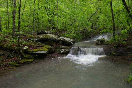 Arkansas Waterfalls and Streams in Forrest During Summerの写真素材