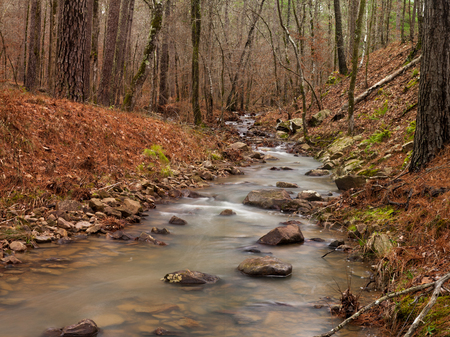 Creek running through woods in arkansasの写真素材
