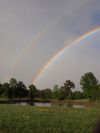 double rainbow over pond in arkansasの写真素材