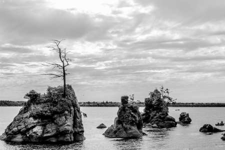Black and white scene of the Oregon Coast