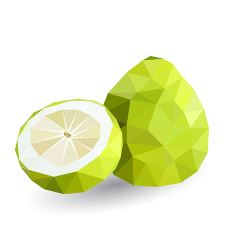 Vector illustration of a pomelo rendered in a geometric styleのイラスト素材