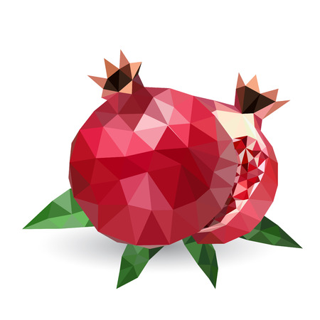 Vector illustration of a pomegranate rendered in a geometric styleのイラスト素材