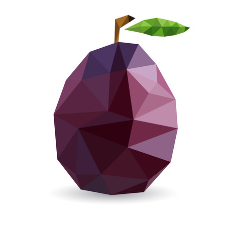 Vector illustration of a plum rendered in a geometric styleのイラスト素材