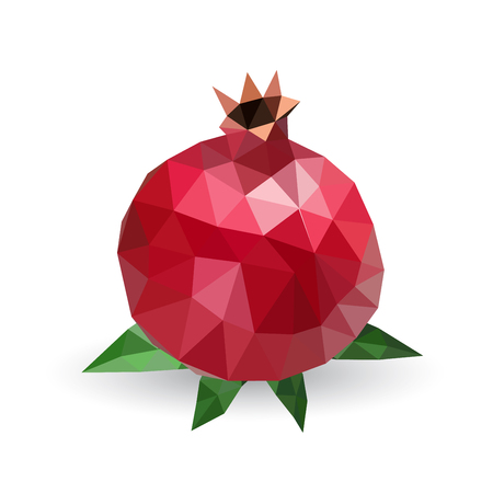 Vector illustration of a pomegranate rendered in a geometric styleのイラスト素材