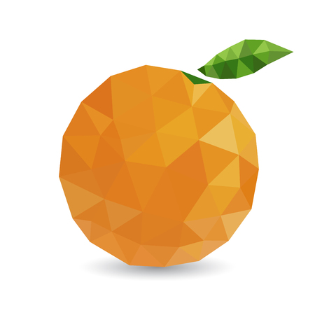 Vector illustration of a citrus rendered in a geometric styleのイラスト素材
