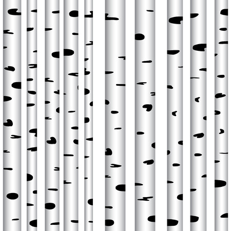 birch backgroundのイラスト素材