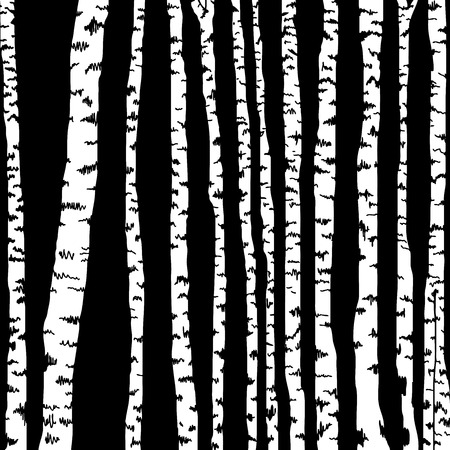 Birch trees background for your designのイラスト素材