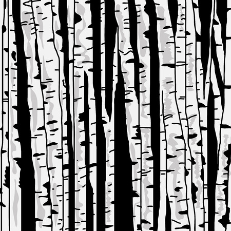 Birch trees background for your designのイラスト素材