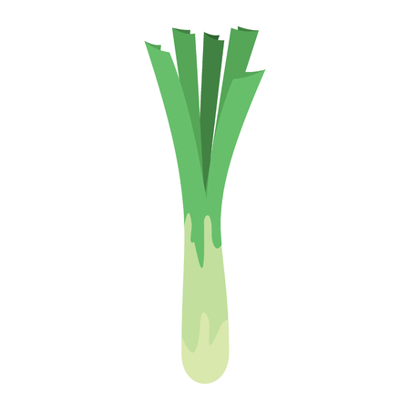 Leek icon in cartoon flat style isolated object vegetable organic eco bio product from the farm vector illustration. Leek object for vegetarian designの写真素材