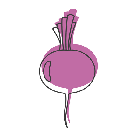 Beet doodle icon vector illustration for design and web isolated on white background. Beet vector object for labels, logos and advertisingのイラスト素材