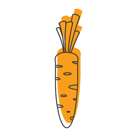 Carrot doodle icon vector illustration for design and web isolated on white background. Carrot vector object for labels, logos and advertisingのイラスト素材