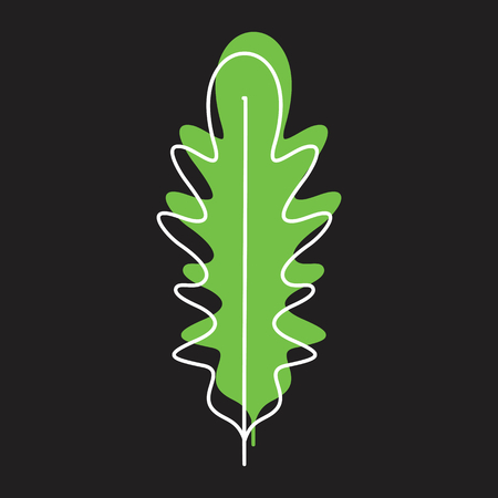 Rucola or arugula doodle icon vector illustration for design and web isolated on black background. Rucola or arugula vector object for labels logos and advertisingのイラスト素材