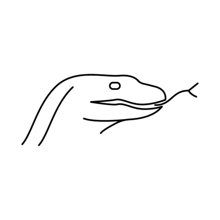 Komodo dragons icon. Outline komodo dragons vector icon for web design isolated on white backgroundのイラスト素材