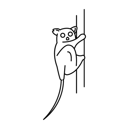 Tarsius icon. Outline tarsius vector icon for web design isolated on white backgroundのイラスト素材