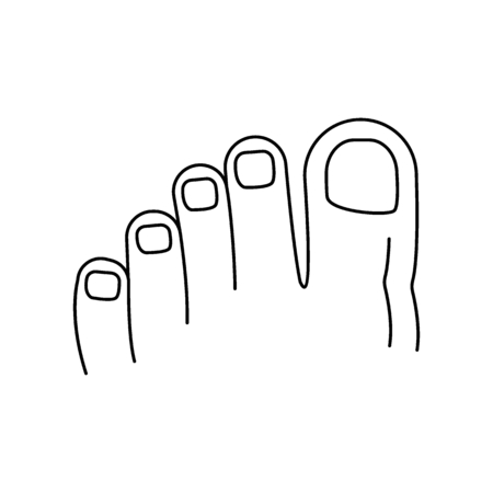 Foot fingers icon. Outline foot fingers vector icon for web design isolated on white backgroundのイラスト素材