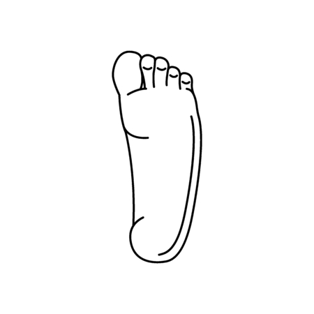 Foot icon. Outline foot vector icon for web design isolated on white backgroundのイラスト素材