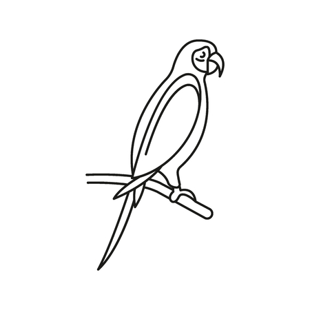 オカメインコの写真 イラスト素材一覧 1 755件 ストックフォトのamanaimages Plus