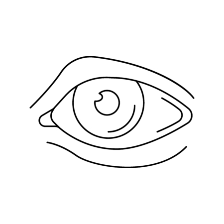 Eye icon. Outline eye vector icon for web design isolated on white backgroundのイラスト素材