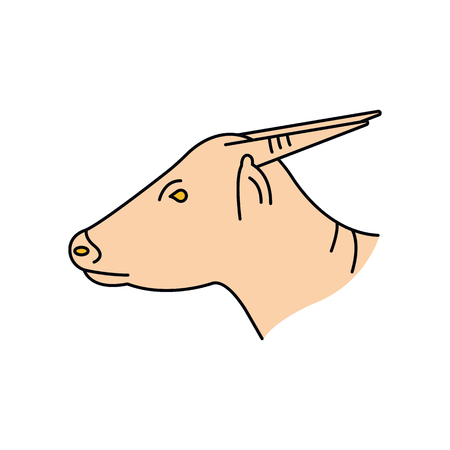 Anoa icon. Cartoon anoa vector icon for web design isolated on white backgroundのイラスト素材