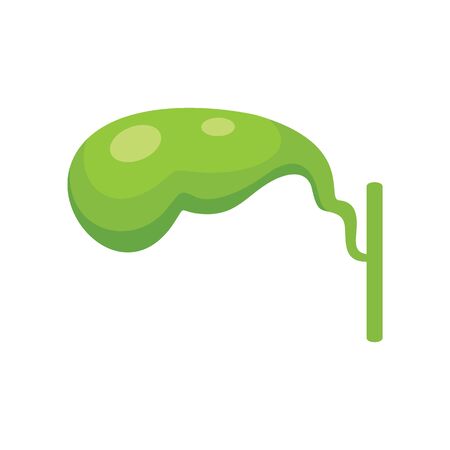 Body part gall bladder flat icon. Vector Body part gall bladder in flat style isolated on white background. Element for web, game and advertisingのイラスト素材